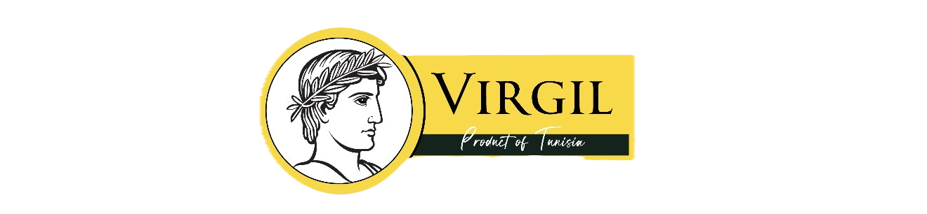 VIRGIL brand logo with Roman-inspired classical portrait in gold circular frame